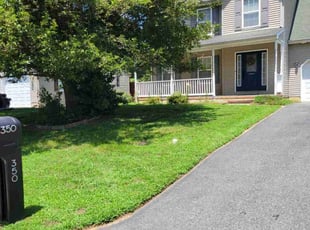 Megan B.'s yard service service result