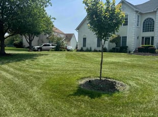 Rick C.'s landscaping service result