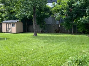 Shaphon C.'s lawn care services service result