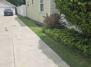 Lauranne B.'s turf maintenance service result