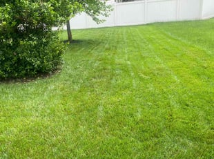 Cee C.'s lawn care services service result