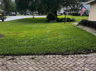 David W.'s turf maintenance service result