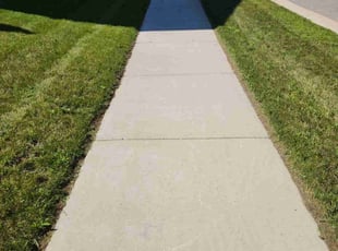 Kausar Z.'s grass maintenance service result