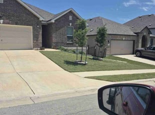 Stephen R.'s grass cutting service result