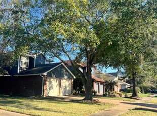 Liz M.'s lawn care services service result