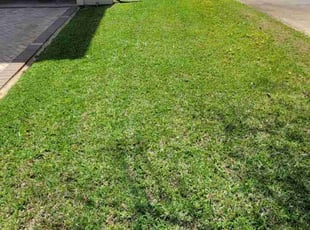 Myrna O.'s lawn maintenance service result