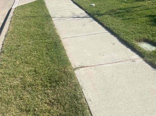 Eric P.'s grass cutting service result