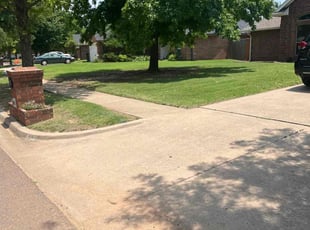 Adam K.'s lawn service service result