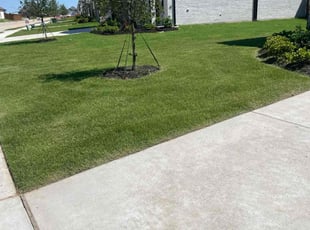 Hugh 1.'s grass maintenance service result