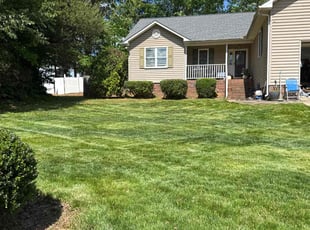 Amir J.'s Bush Trimming service result