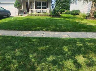 Waylon S.'s turf care service result