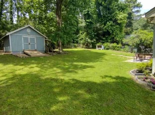 Carollera C.'s lawn care service result