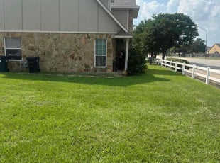 Anita G.'s lawn care service result