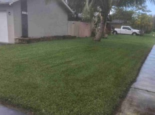 Glenn G.'s turf maintenance service result