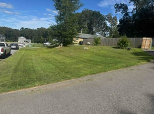 Barbara B.'s lawn care services service result