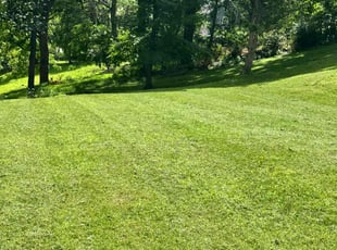 Brian K.'s lawn maintenance service result