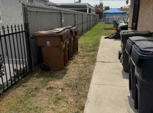 Gary M.'s grass cutting service result
