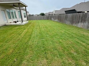 Nancy W.'s grass maintenance service result