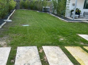 Tanaya H.'s Cleanups service result