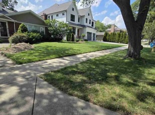 Francisco A.'s grass maintenance service result