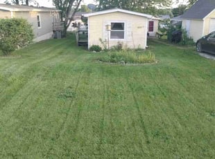 Vincent M.'s lawn care service result