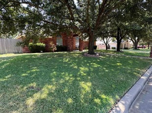 Brittany C.'s lawn care service result