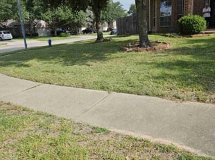 Lesley T.'s lawn service service result