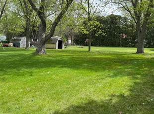 Myka P.'s grass cutting service result