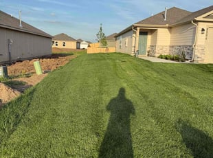 Therisa S.'s lawn care service result