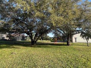 Norman T.'s grass cutting service result