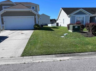 Craig U.'s turf maintenance service result
