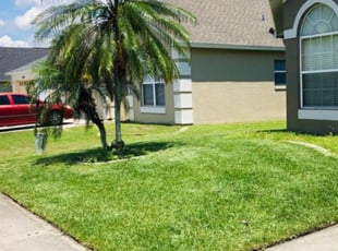 Patrick M.'s turf maintenance service result