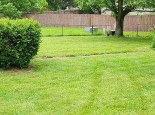 Jill R.'s grass maintenance service result