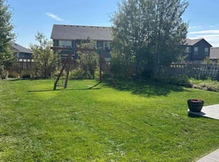 Kathy Q.'s lawn maintenance service result