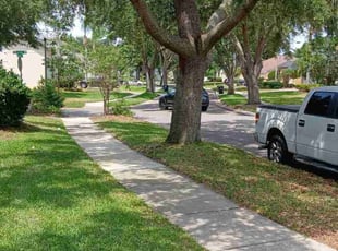 Mike L.'s lawn care service result