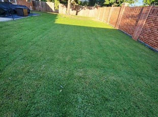 Mike S.'s lawn maintenance service result