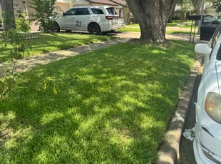 Catina J.'s lawn maintenance service result