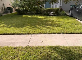 Sara S.'s yard service service result