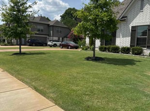 Zach B.'s grass cutting service result