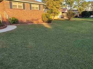 Teleyah H.'s turf maintenance service result