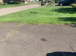 Alicia J.'s lawn maintenance service result