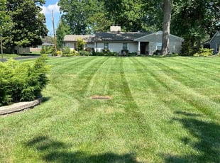 Chrisana B.'s lawn maintenance service result