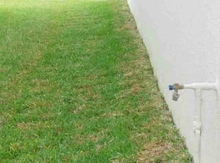 Rayna K.'s grass cutting service result