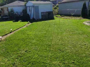 Dionna S.'s grass maintenance service result