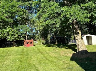 Thomas U.'s turf care service result