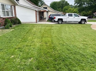 Donna R.'s lawn care service result