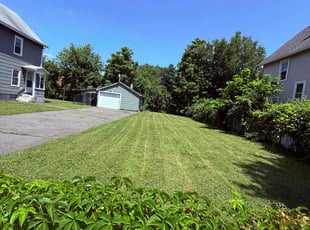 Dale Z.'s grass maintenance service result