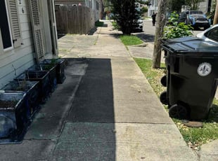 Nan S.'s Bush Trimming service result
