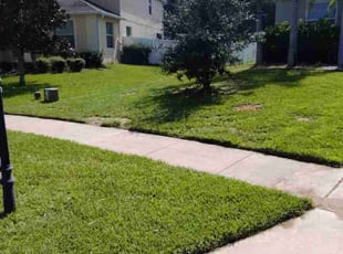 Elizabeth A.'s lawn care services service result