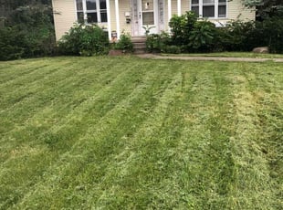 Bobbi L.'s Bush Trimming service result